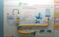 燃?xì)夤艿滥懿荒茏约焊?我勸你別亂動！