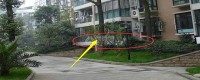 一樓的房子弊端太多？?jī)?nèi)行人透露：有錢(qián)人都喜歡買(mǎi)一樓