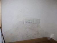 一樓的房真的不能買嗎 送多少平也別買？